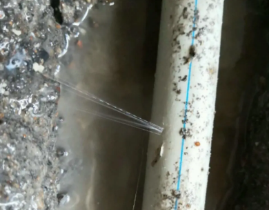 布尔津测漏水哪家好