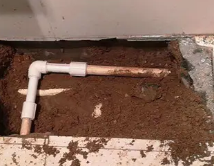 布尔津测漏水哪家好