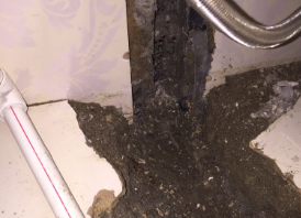 布尔津卫生间测漏水哪家好