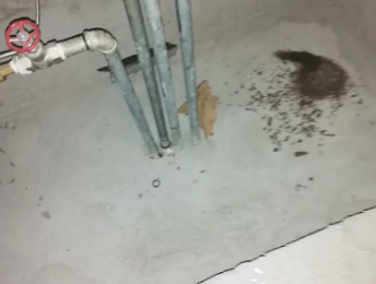 布尔津卫生间测漏水价格明细