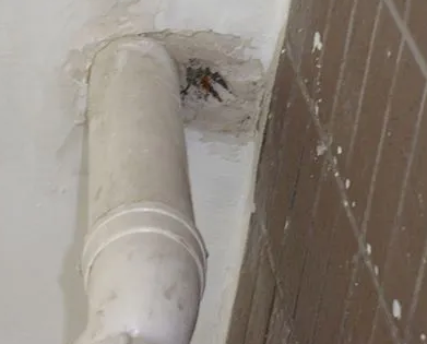 布尔津漏水检测哪家好